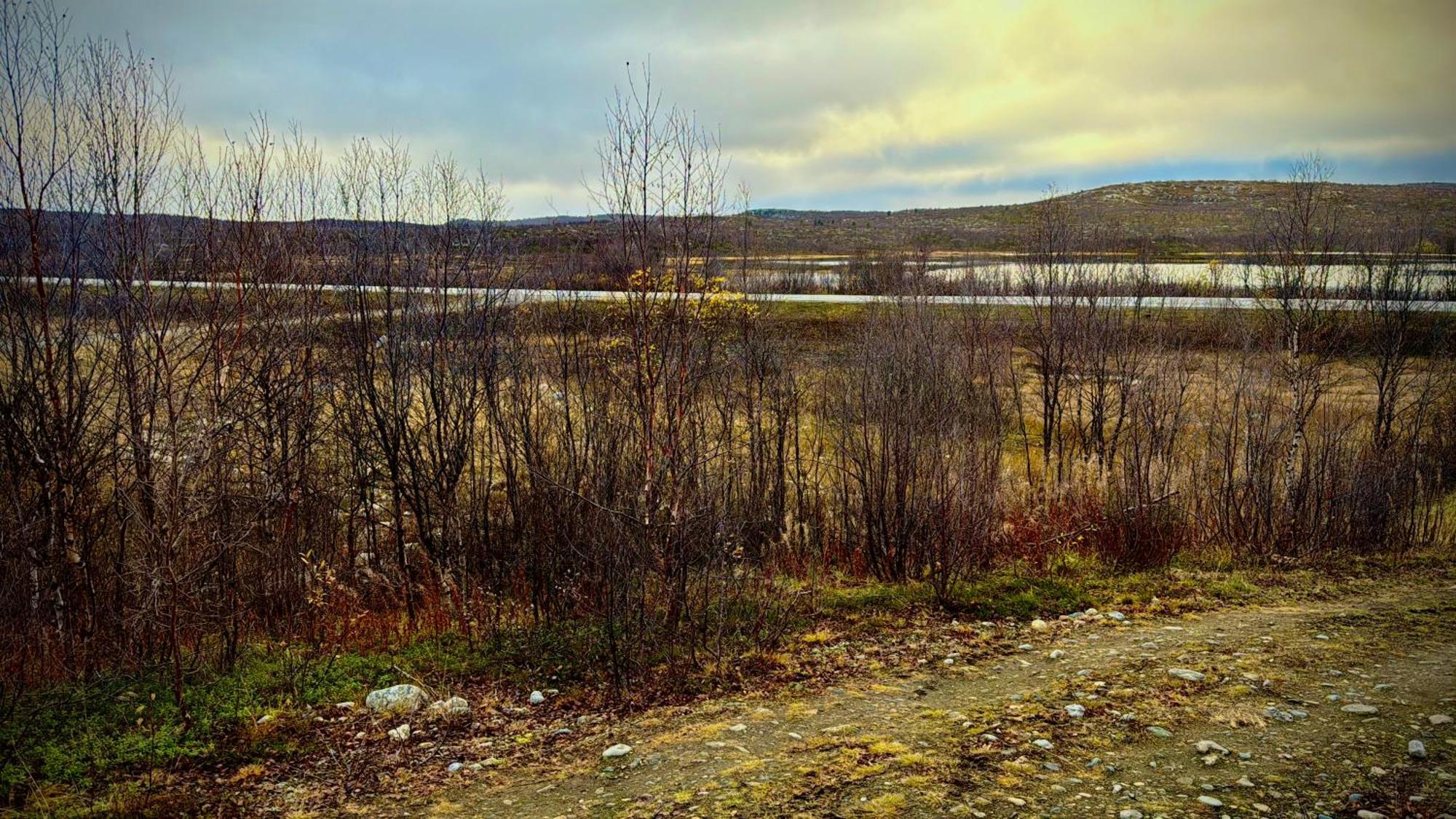 Cottage Lavkavann Finnmarksvidda Skoganvarre Экстерьер фото